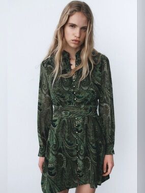 Zara Green Paisley Mini Dress